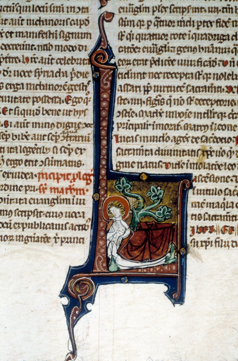 Tree of Jesse, father of King David بواسطة فنان غير معروف