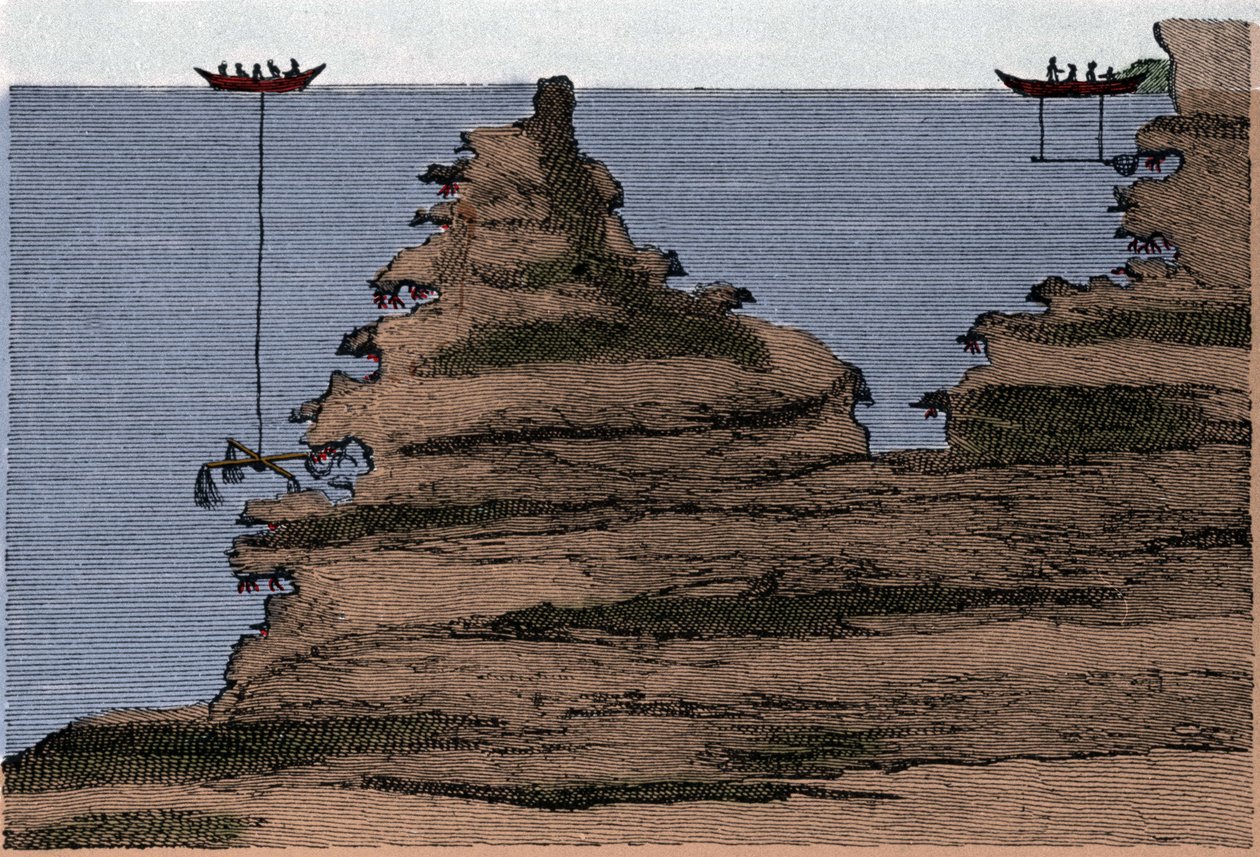 استخدام نوعين من الشباك لصيد المرجان. على اليمين ، سالبر ، إلى اليسار المركبة. نقش من "التاريخ الفيزيائي للبحر" لحكاية مارسيلي بأمستردام بواسطة فنان غير معروف