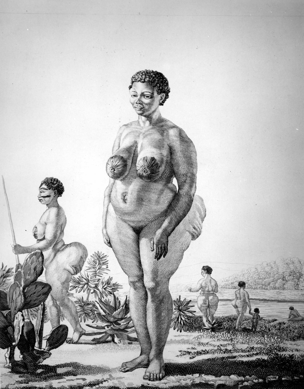 Venus Hottentote of South Africa بواسطة فنان غير معروف