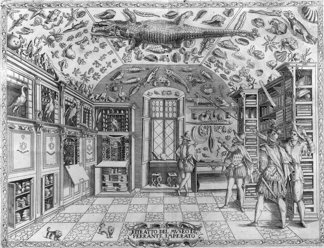منظر لمتحف الفضول (المتحف الموسوعي) للصيدلاني Ferrante Imperato (1550 - 1631). نقش من عام 1678. متحف الصيدلة النابولية Ferrante Imperato. بواسطة فنان غير معروف
