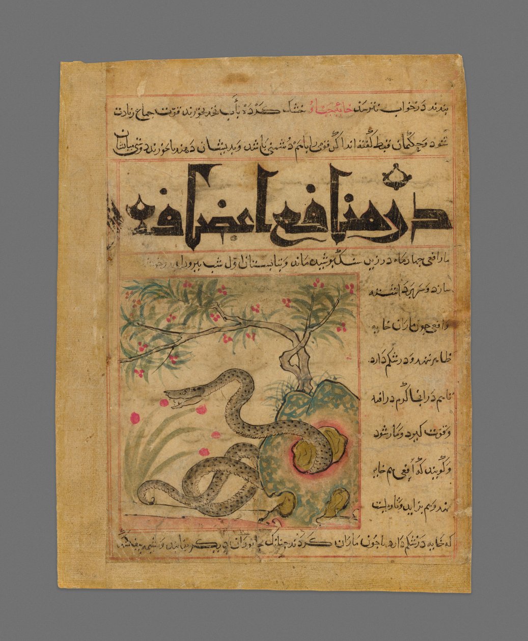  بواسطة فنان غير معروف