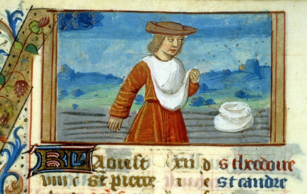 Virgo Sower and Zodiac - Miniature of the Middle Ages (ref. 137, 049v) - Request permission from the Municipal Library of Toulouse (tel: 05 62 27 66 66) بواسطة فنان غير معروف