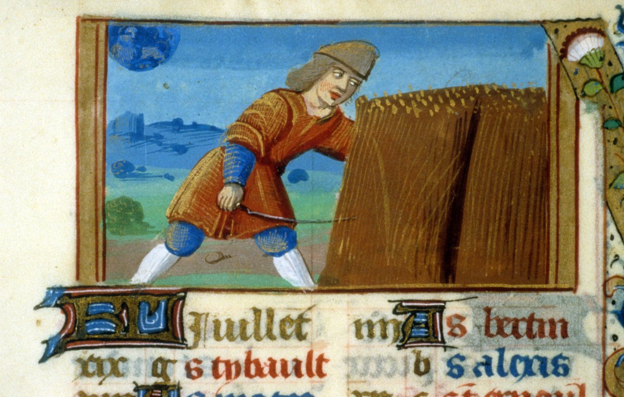 Zodiac Lion and Harvest - Miniature of the Middle Ages (ref. 137, 049r): Request for permission from the Municipal Library of Toulouse (tel: 05 62 27 66 66) بواسطة فنان غير معروف