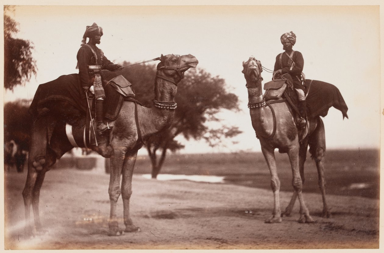 Camel Sowars في معسكر دلهي للتمرين بواسطة مصور غير معروف