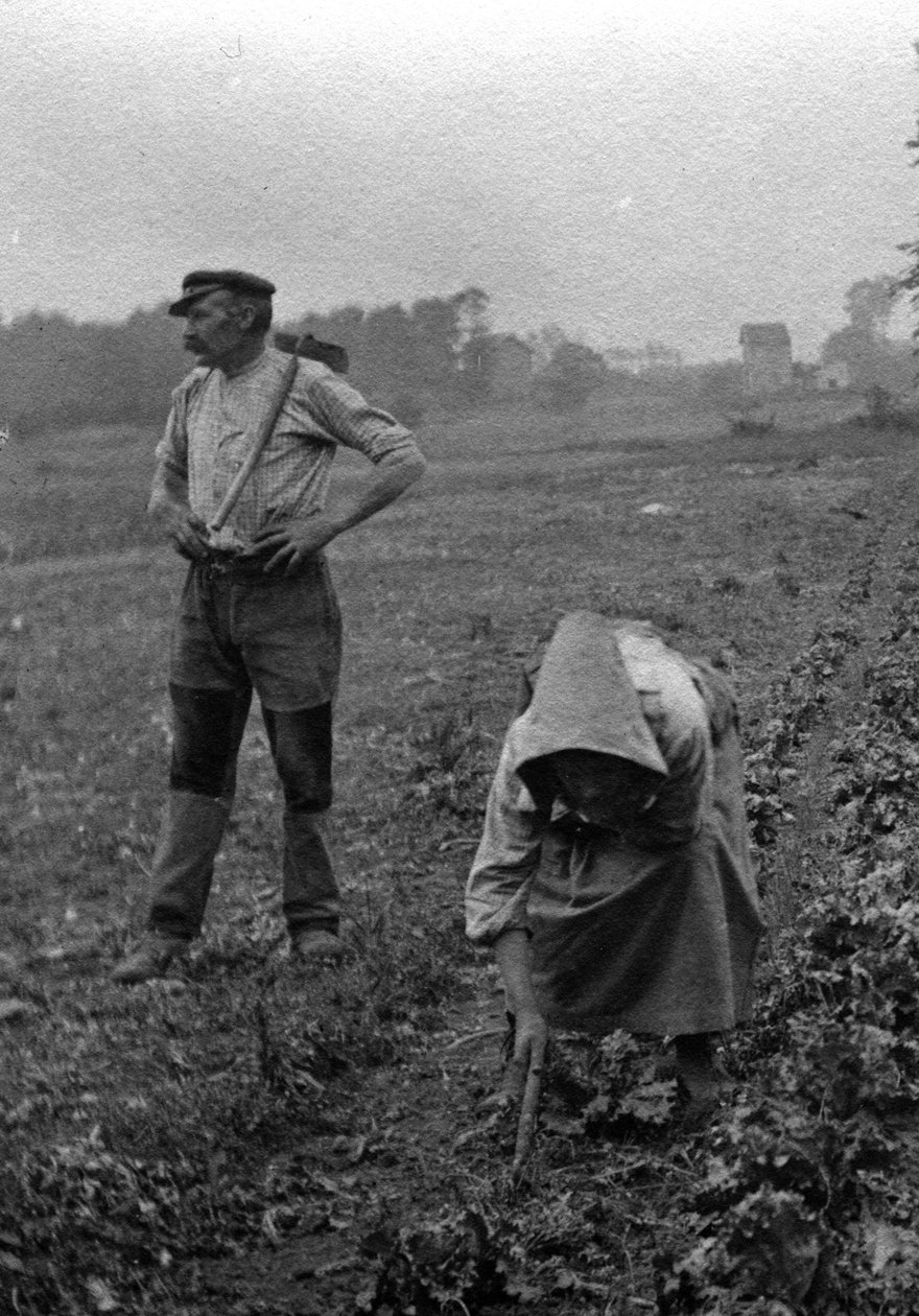 زوجان من الفلاحين يعملان في الحقول، سوم 1921 تصوير فوتوغرافي (فلاحون فرنسيون يعملون في الحقول، سوم 1921) مجموعة خاصة بواسطة مصور غير معروف