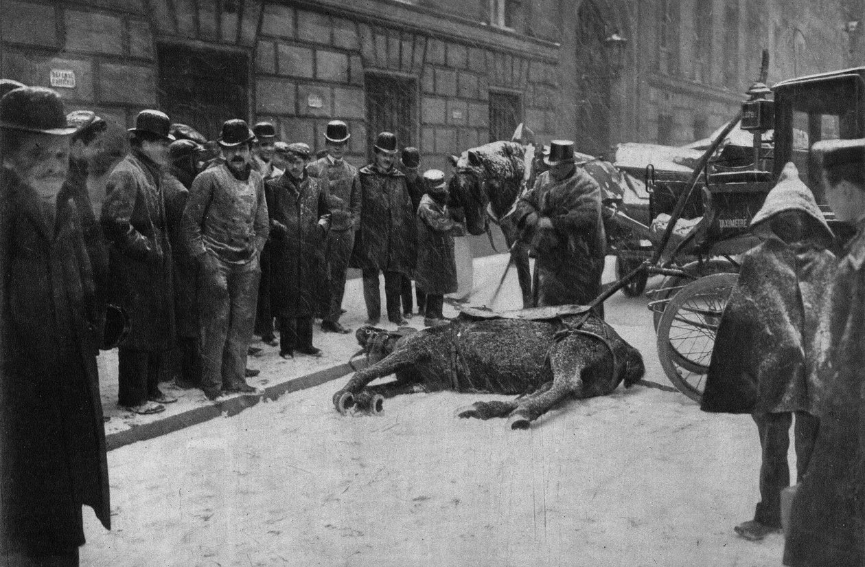 Death of a coupling horse in the streets of Paris. Photography, late 19th century, Paris. Coll. Selva. بواسطة مصور غير معروف