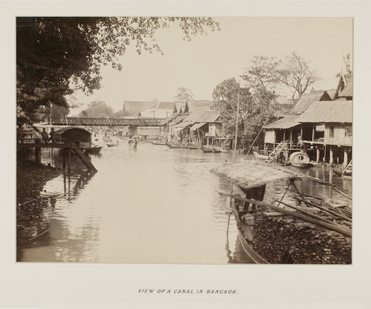 Photograph in photograph album بواسطة مصور غير معروف