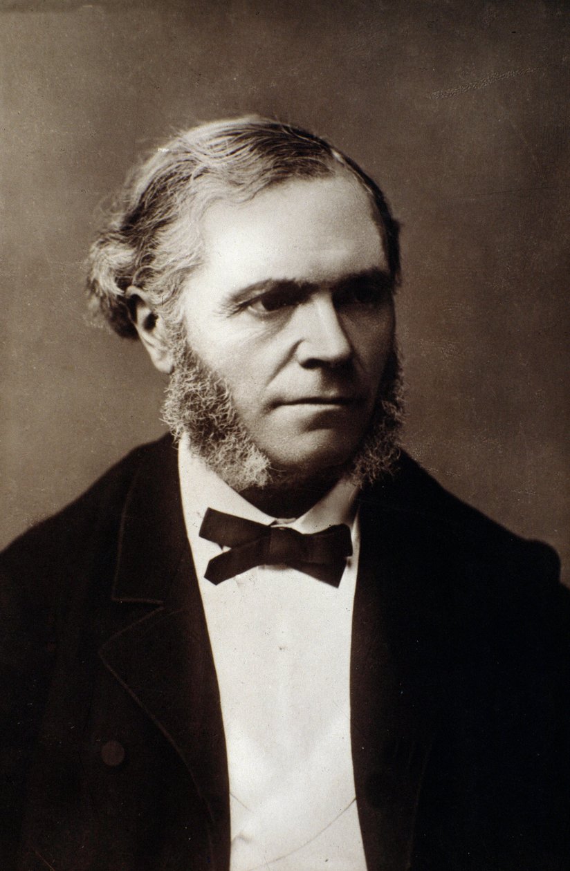 صورة سيزار فرانك (1822-1890) صورة الملحن الإنجليزي. القرن ال 19. بولونيا ، متحف الموسيقى المدنية بواسطة مصور غير معروف