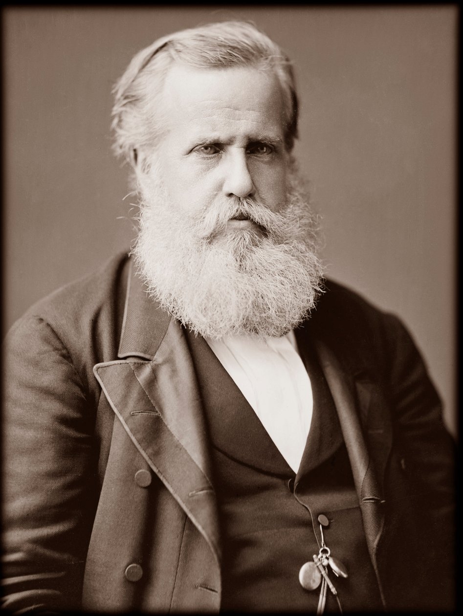 صورة دوم بيدرو الثاني (بيتر الثاني) (بيتر الثاني) (دوم بيدرو دي الكانتارا) (1825-1891) ، إمبراطور البرازيل بواسطة مصور غير معروف