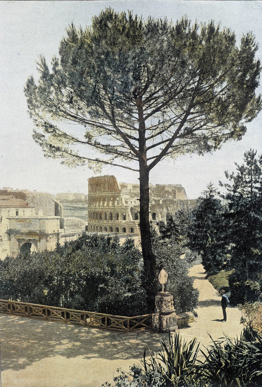 روما ، Colisee من Palantine - آرت ديكو. بواسطة مصور غير معروف