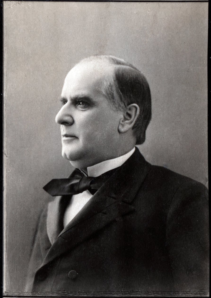 ويليام ماكينلي (1843-1901) ، الرئيس الخامس والعشرون للولايات المتحدة - صورة ويليام ماك كينلي (ماك كينلي أو ماكينلي) بواسطة مصور غير معروف
