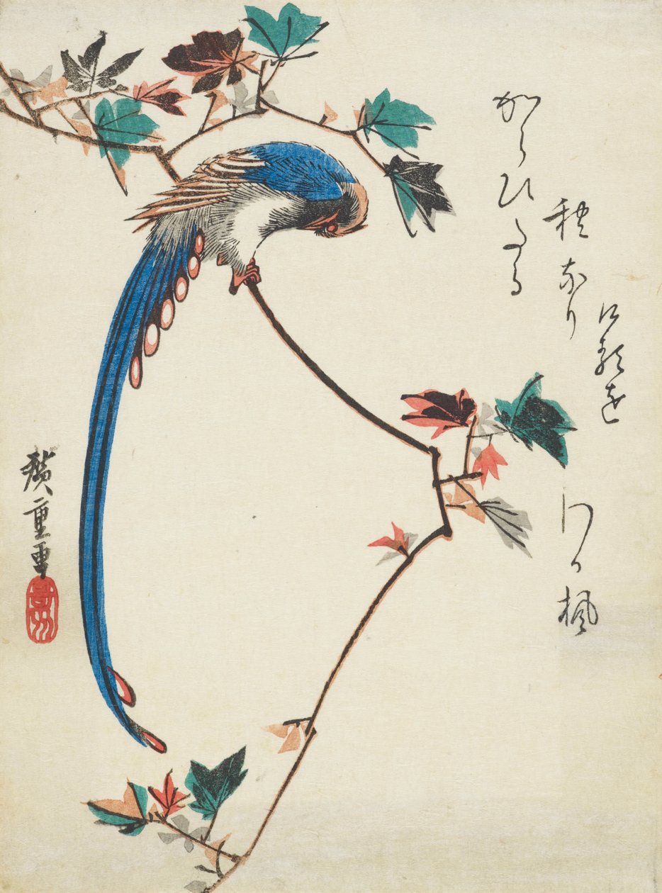 العقعق الأزرق على فرع القيقب بواسطة Utagawa Hiroshige
