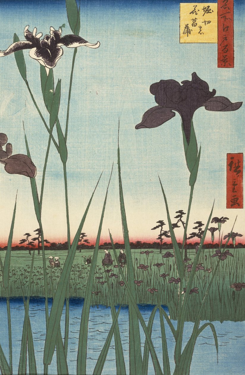 Horikiri Iris Garden (Horikiri no hanashbu) ، من سلسلة مائة مشاهدة شهيرة لإيدو (Meish ... بواسطة Utagawa Hiroshige