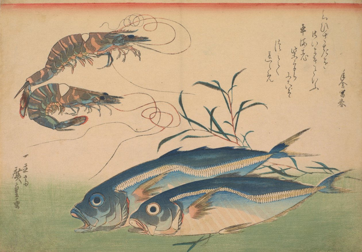 حصان ماكريل (Aji) مع الجمبري أو الروبيان ، مع نقش بواسطة Utagawa Hiroshige