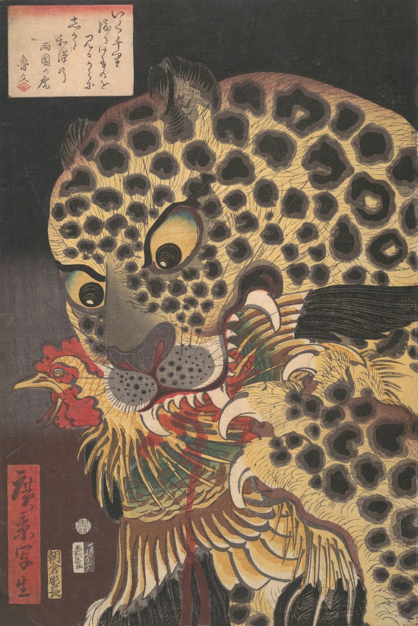 "The Tiger of Ryokoku" من سلسلة True Scenes بواسطة Hirokage ، الشهر الثامن ، 1860. ، بواسطة أوتاغاوا هيروكاجي