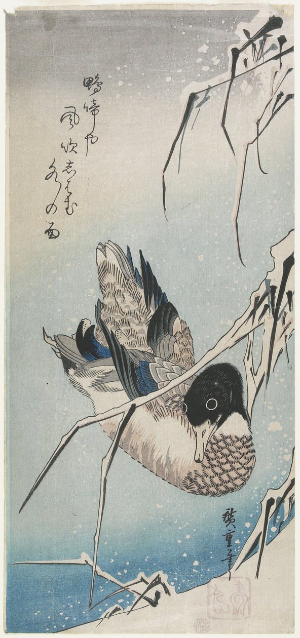 (بطة وثلجي ريدز) ، أوائل 1830 بواسطة Utagawa Hiroshige