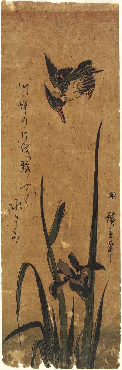 (ايريس وكينجفيشر) ، 1830-1858 بواسطة Utagawa Hiroshige