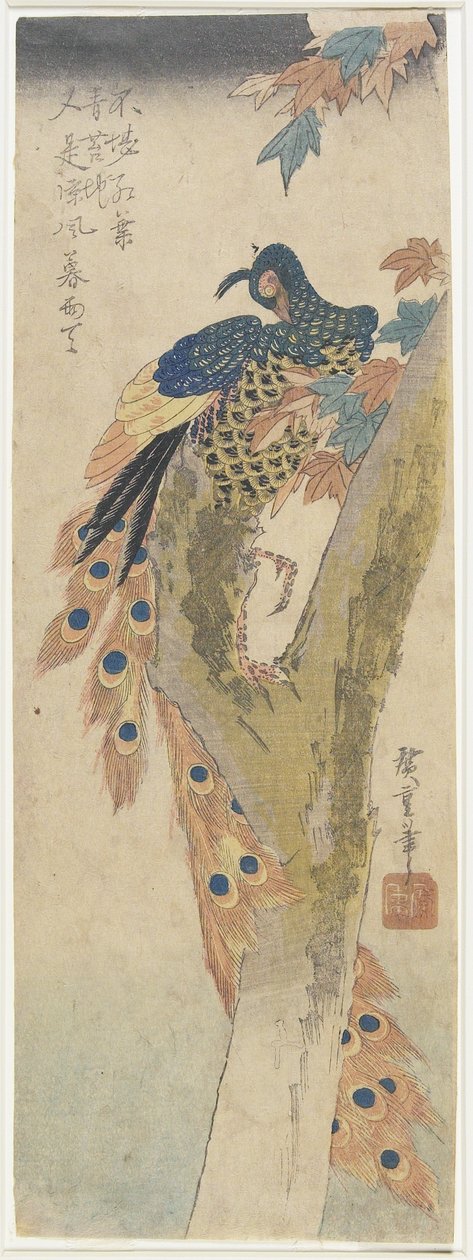 (الطاووس على شجرة القيقب) ، أوائل القرن التاسع عشر بواسطة Utagawa Hiroshige
