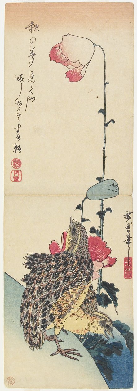 (السمان والخشخاش) ، 1830-1858 بواسطة Utagawa Hiroshige