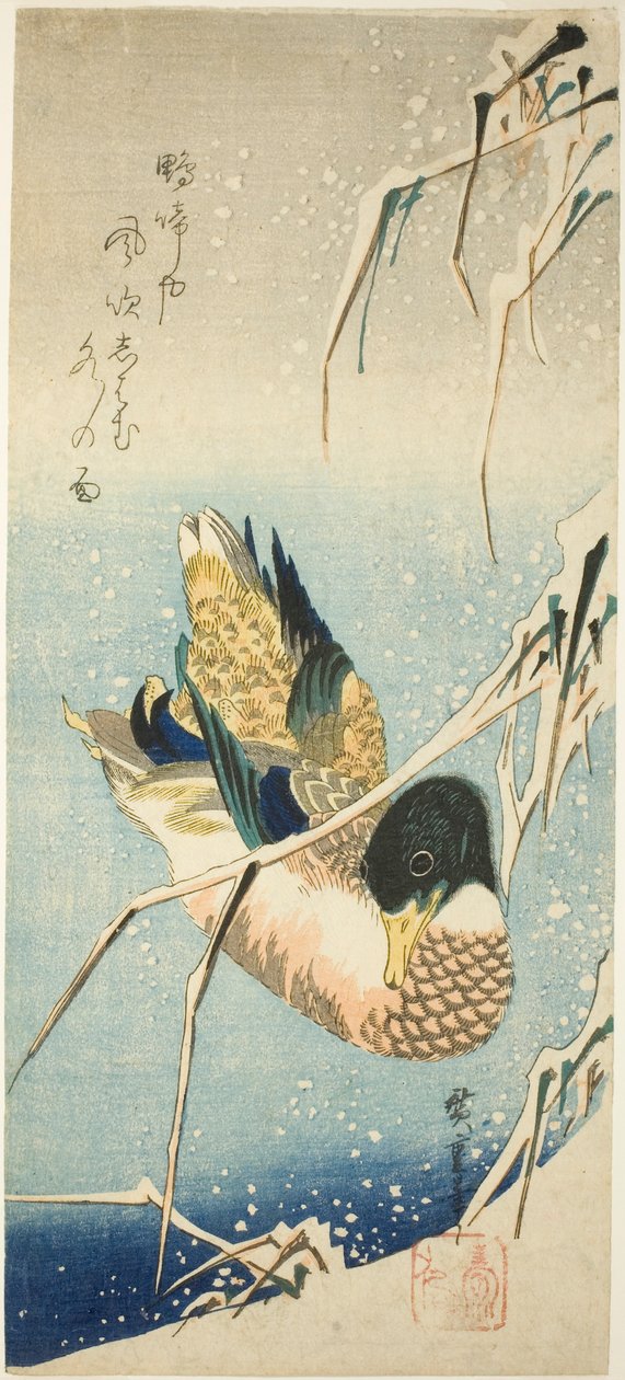 بطة برية تسبح بجوار ضفة مغطاة بالثلوج تحت القصب المليء بالثلوج بواسطة Utagawa Hiroshige