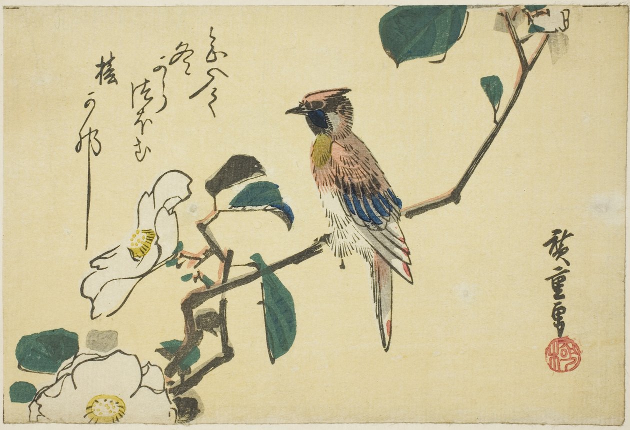 صفراء ذو قفاز أسود على فرع الكاميليا بواسطة Utagawa Hiroshige