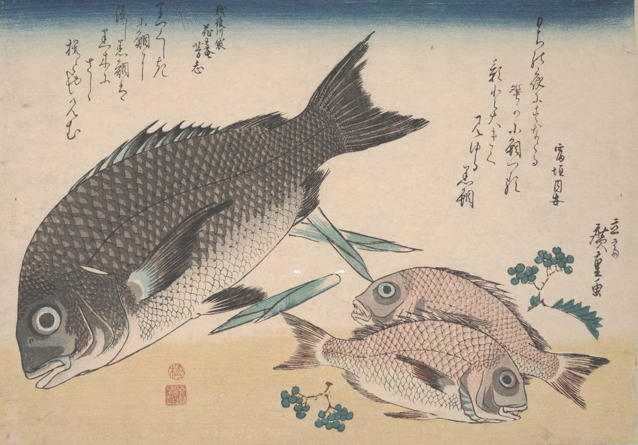 دنيس البحر الأسود ، دنيس البحر الصغير ، براعم الهليون ، وفلفل سانشو ، c.1830 بواسطة Utagawa Hiroshige