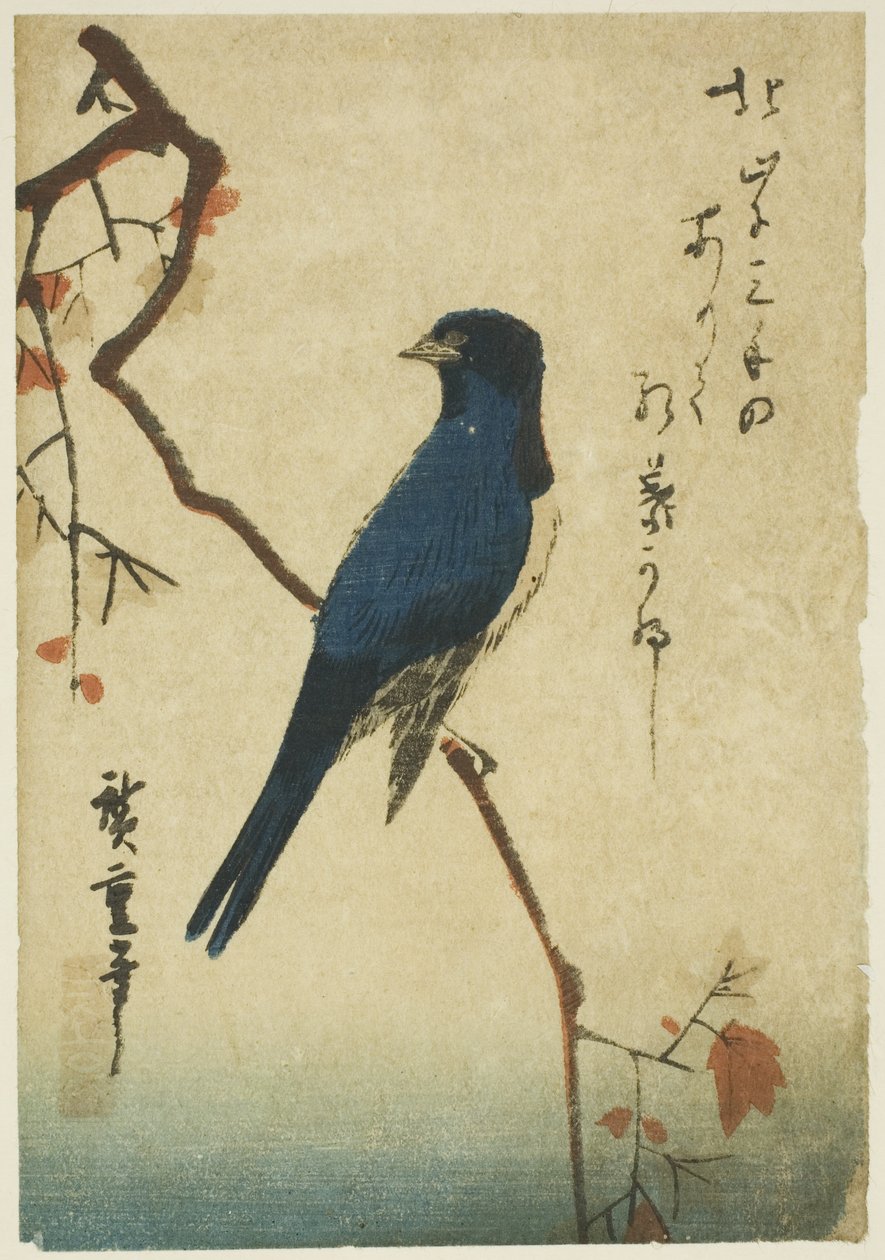 بلو بيرد على فرع القيقب بواسطة Utagawa Hiroshige