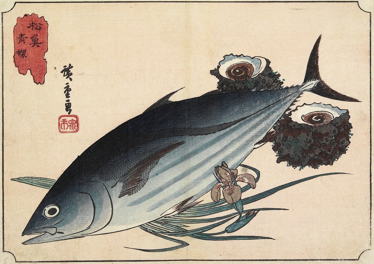 بونيتو وتوب شيلز ، أوائل القرن التاسع عشر بواسطة Utagawa Hiroshige