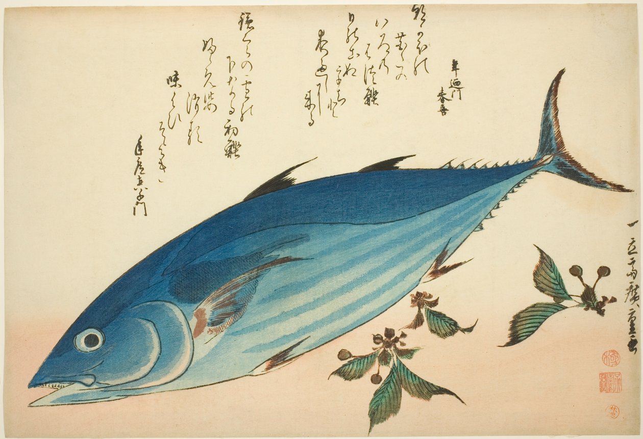 Bonito و saxifrage ، من سلسلة من الأسماك بدون عنوان بواسطة Utagawa Hiroshige