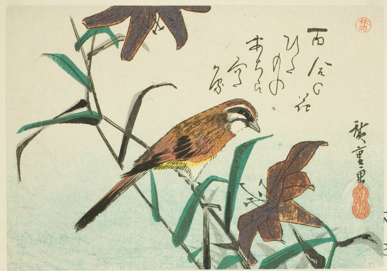 درسة وزنابق بواسطة Utagawa Hiroshige