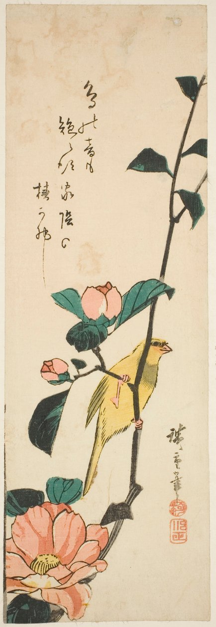الكناري والكاميليا بواسطة Utagawa Hiroshige