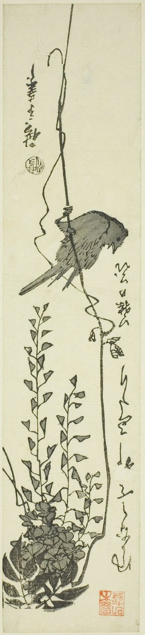 الكناري والستارية بواسطة Utagawa Hiroshige