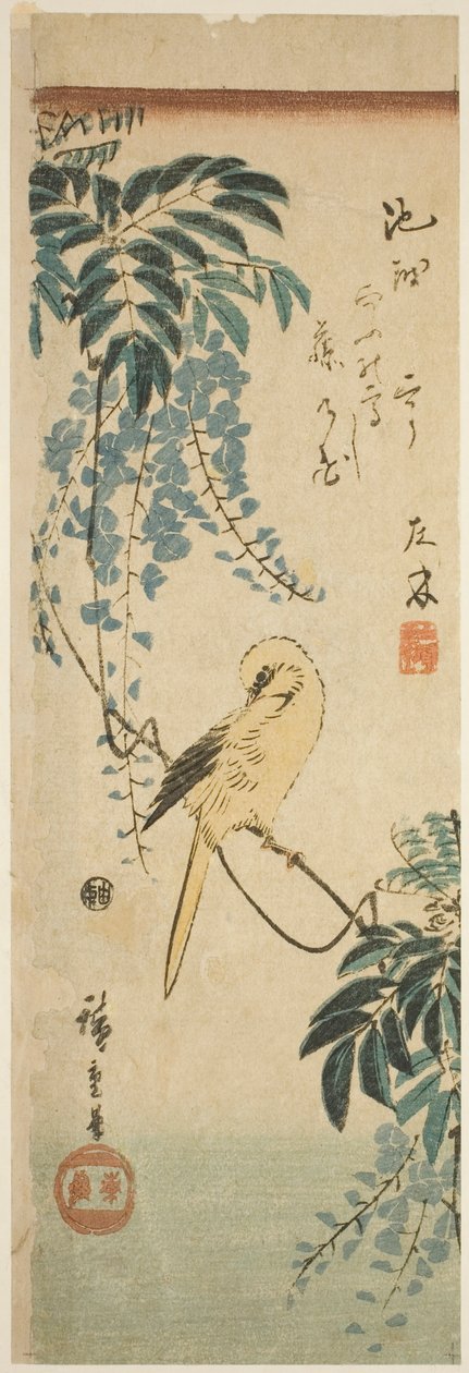 الكناري والستارية بواسطة Utagawa Hiroshige
