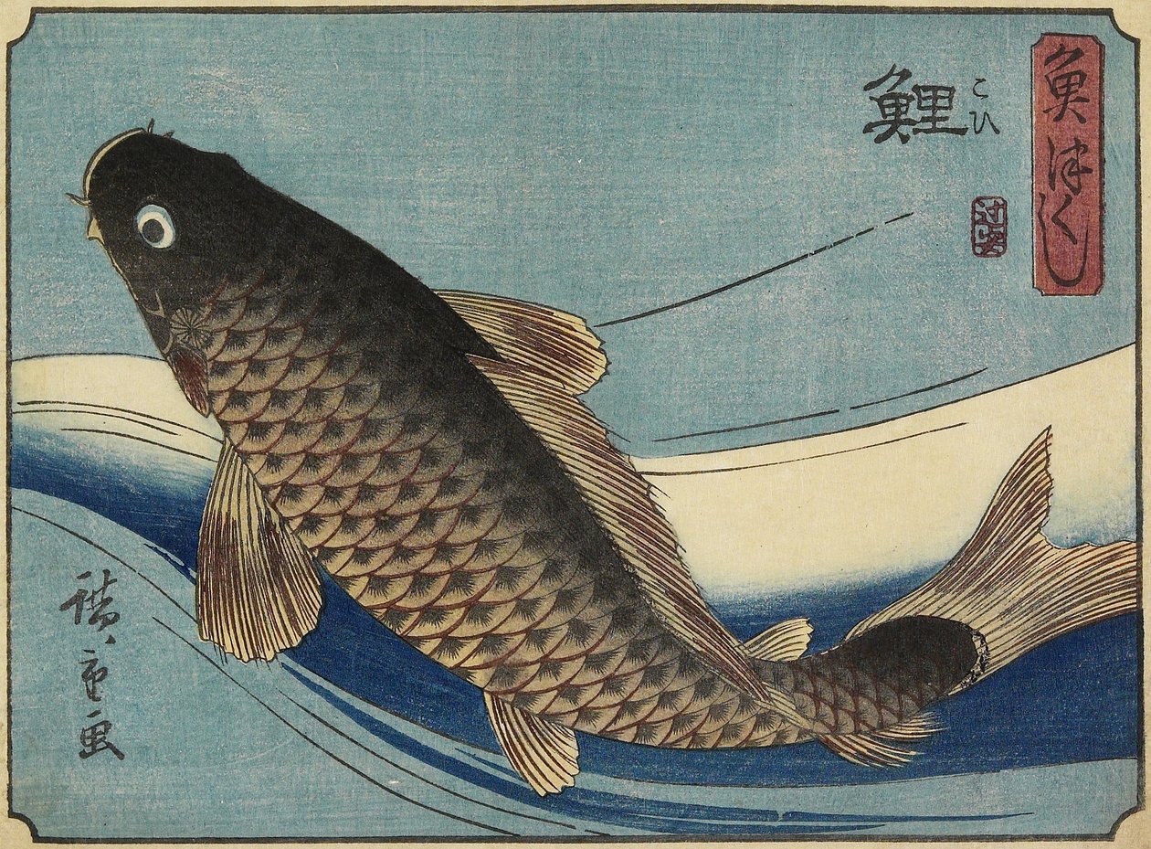 الكارب ، 1830-1844 بواسطة Utagawa Hiroshige