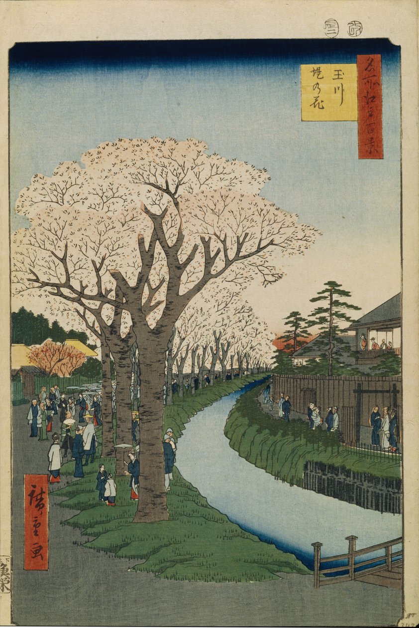 أزهار الكرز على ضفاف نهر تاما مائة مشاهدة شهيرة لإيدو ، 1856-1858 بواسطة Utagawa Hiroshige