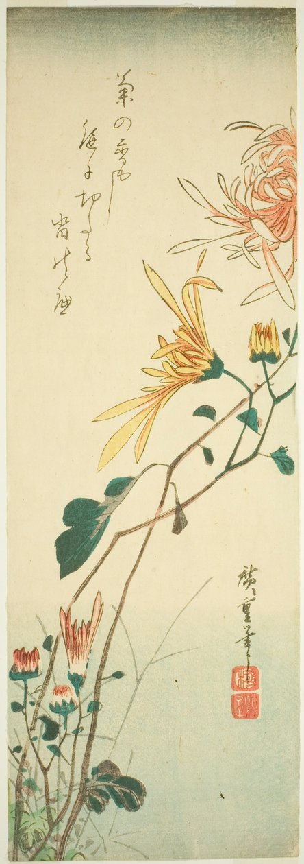 أقحوان بواسطة Utagawa Hiroshige