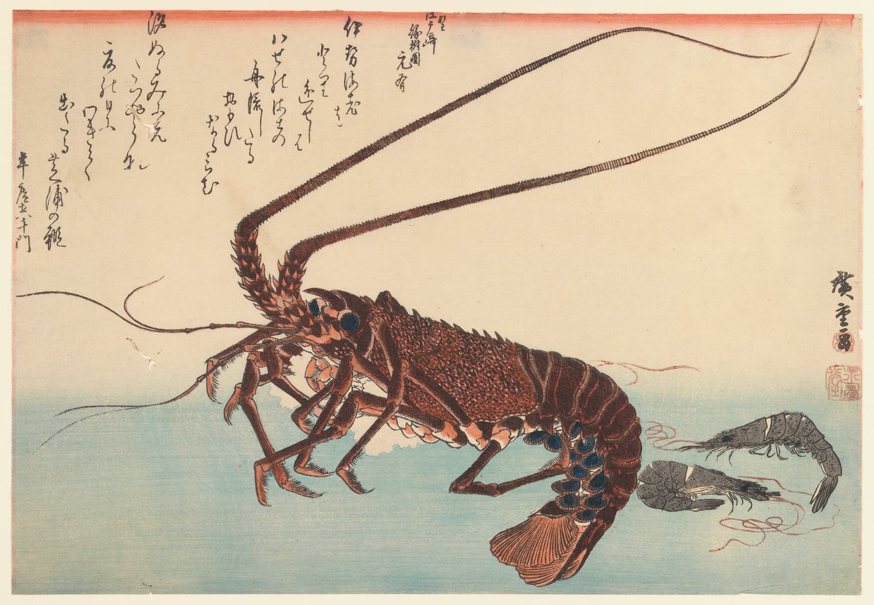جراد البحر وربيانان ، من سلسلة Great Fish (بدأت عام 1832) ، 1840 (طبعة خشبية ملونة) بواسطة Utagawa Hiroshige