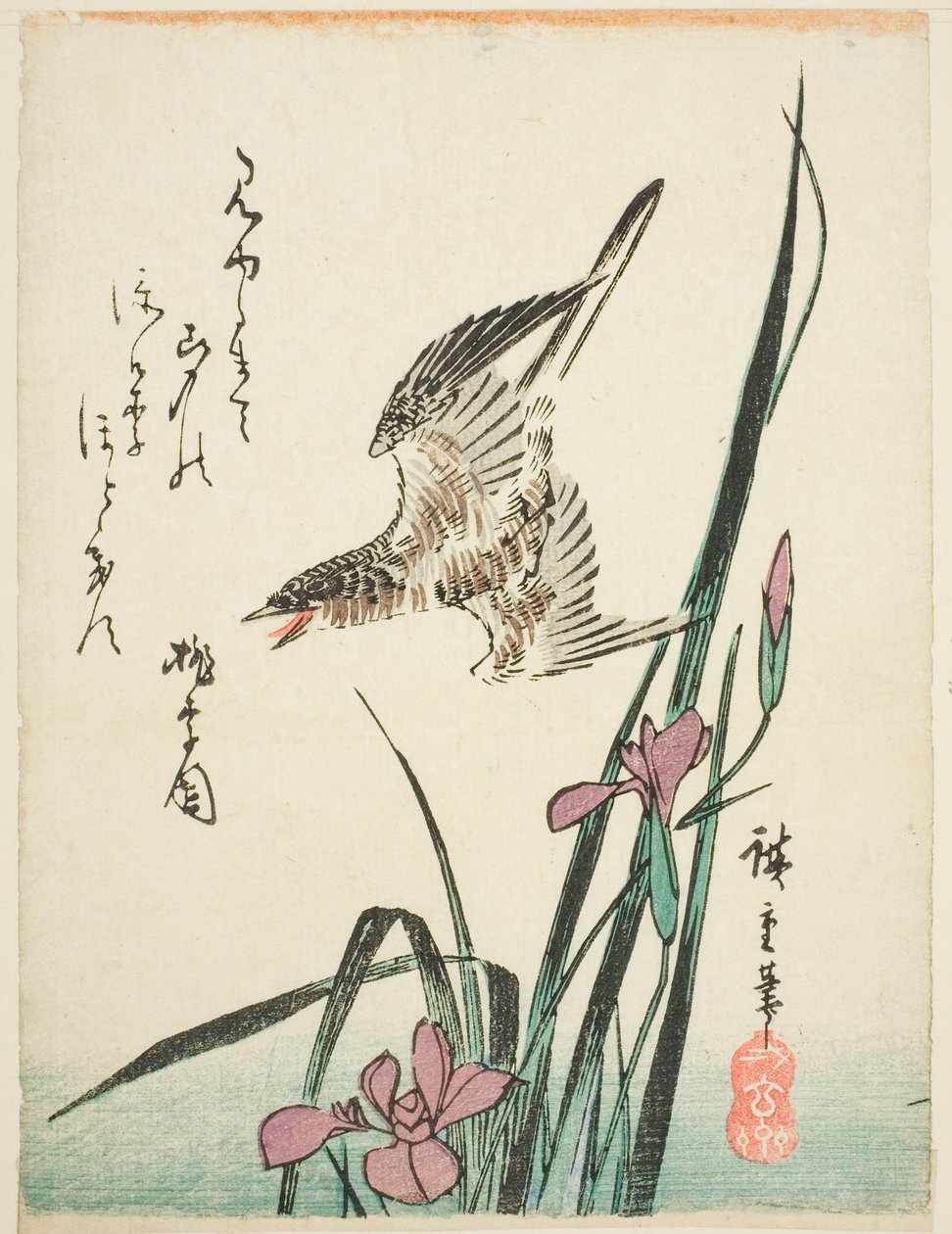الوقواق يطير فوق القزحية بواسطة Utagawa Hiroshige
