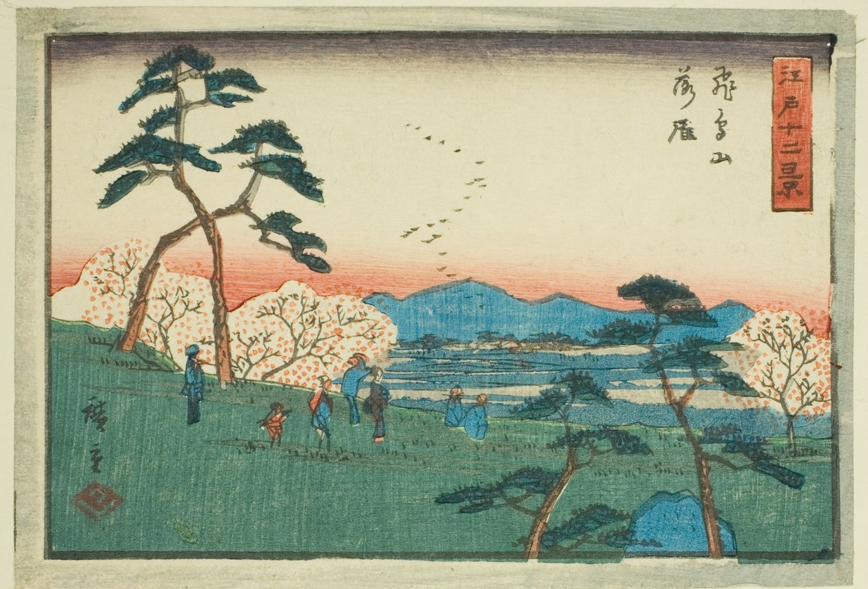 أمام خط المواجهة ، عند اسوكا اسوكا (Asukayama rakugan) ، من te serie s "Tel ve vie ws of Edo (Edo trees)" بواسطة Utagawa Hiroshige