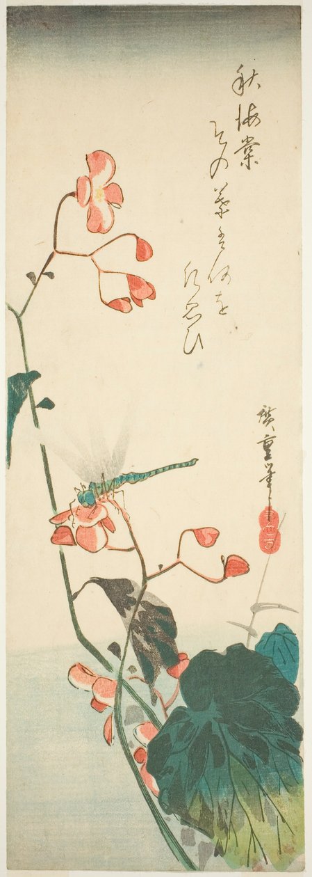 اليعسوب والبيغونيا بواسطة Utagawa Hiroshige