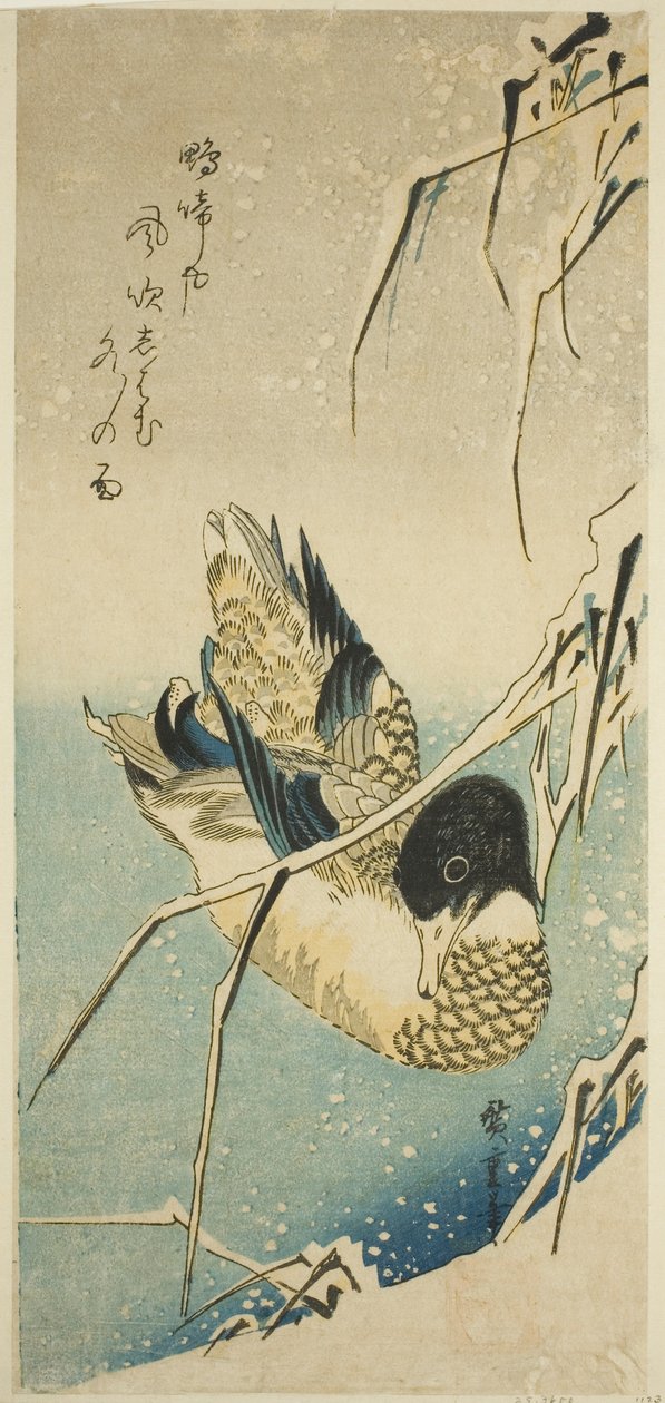 البط في الثلج بواسطة Utagawa Hiroshige