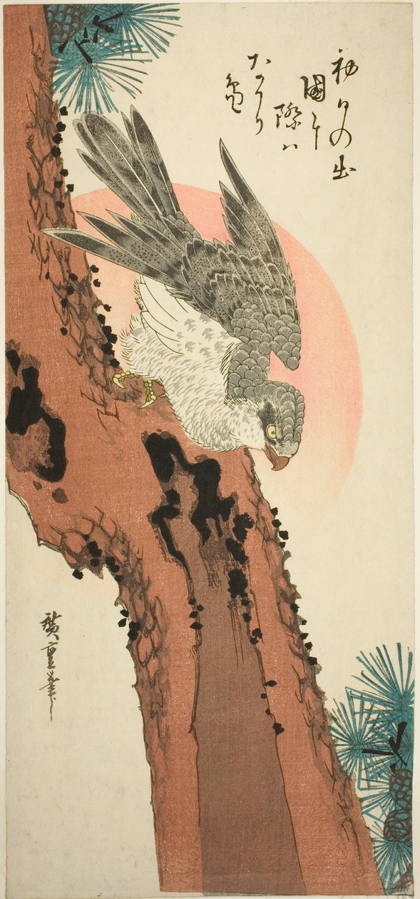 صقر على شجرة صنوبر مع شروق الشمس بواسطة Utagawa Hiroshige