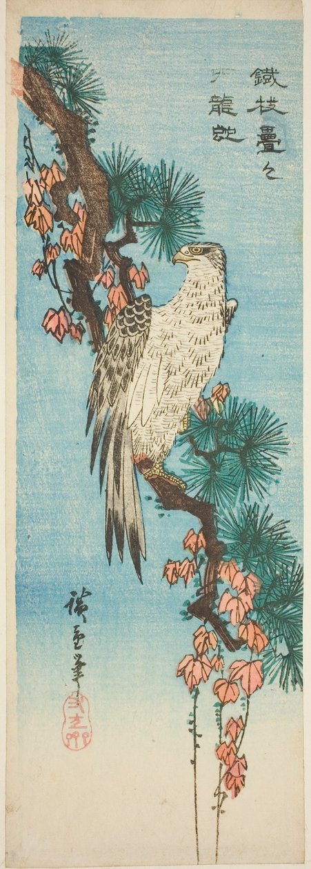 الصقر على فرع الصنوبر المغطى باللبلاب بواسطة Utagawa Hiroshige