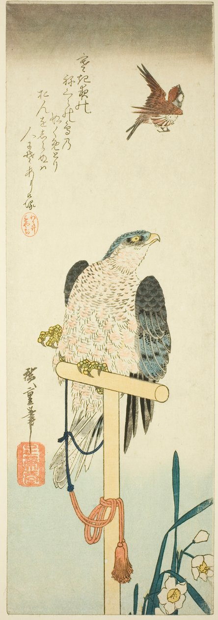 الصقر والعصفور والنرجس بواسطة Utagawa Hiroshige