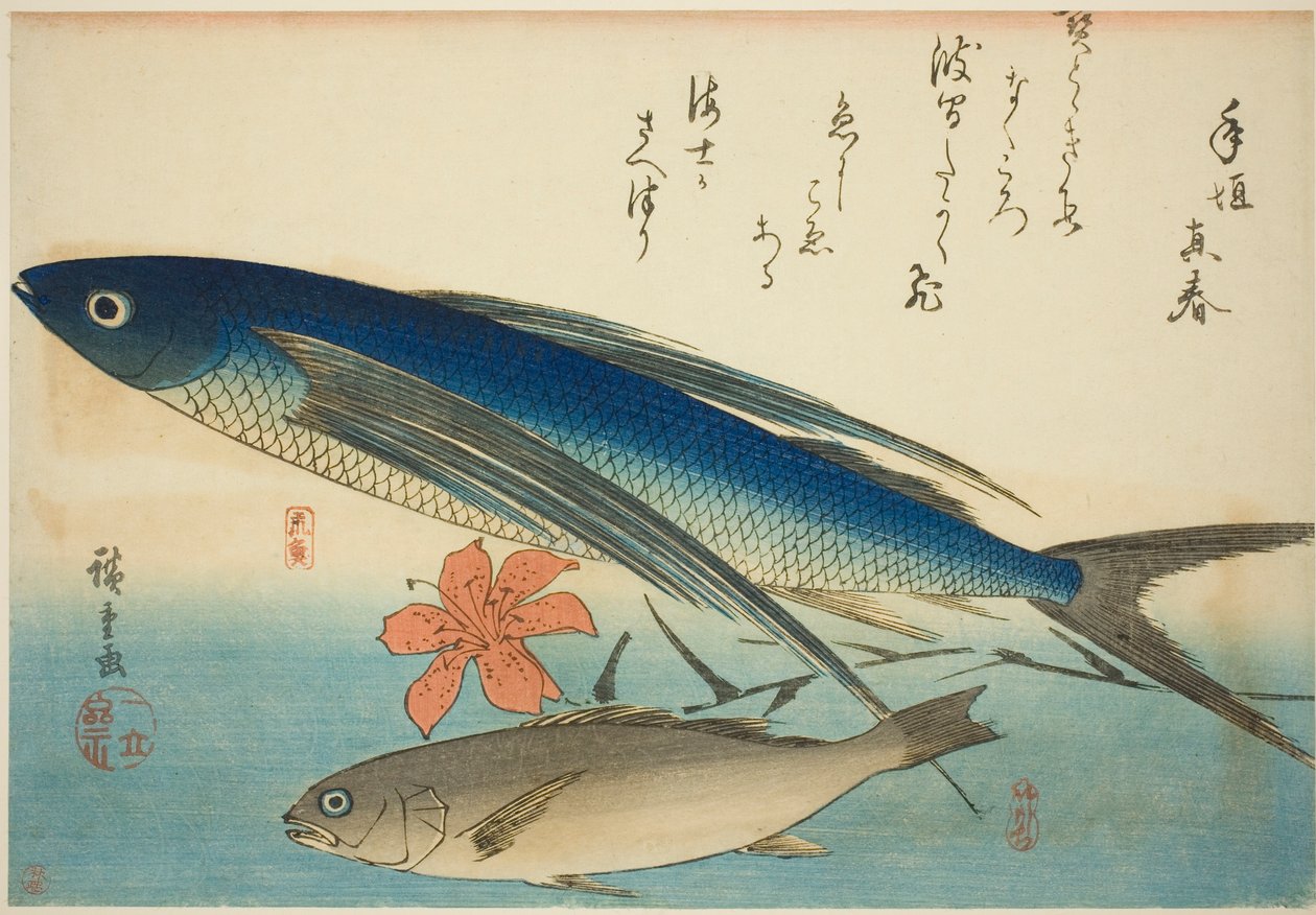 الأسماك الطائرة والإيشيموتشي ، من سلسلة من الأسماك بدون عنوان بواسطة Utagawa Hiroshige