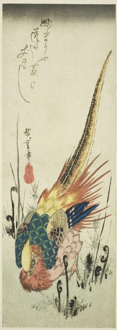 الدراج الذهبي والسراخس السرخس بواسطة Utagawa Hiroshige