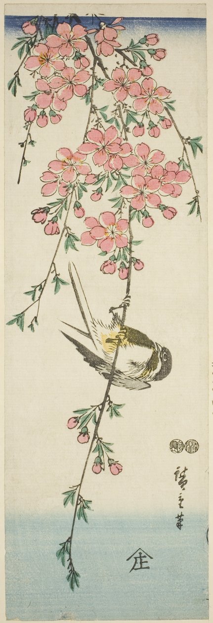 حلمة كبيرة وأزهار الكرز بواسطة Utagawa Hiroshige
