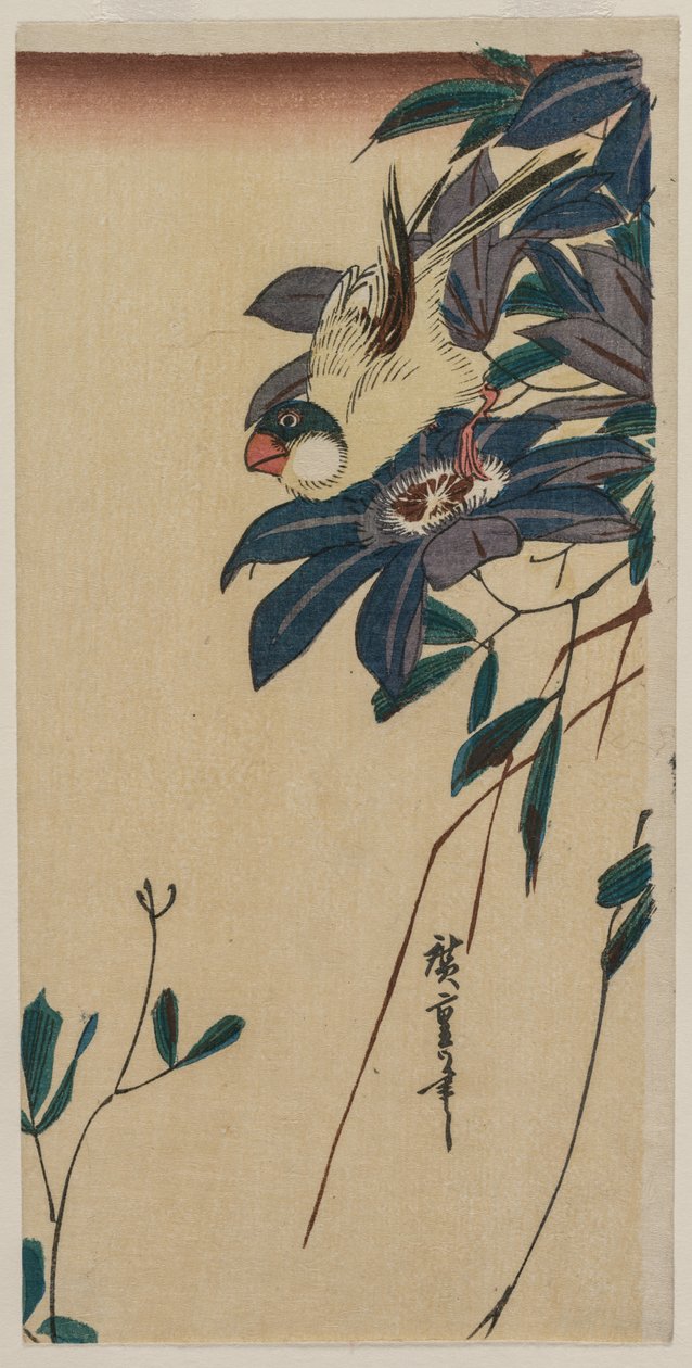 Grosbeak و ياسمين في البر بواسطة Utagawa Hiroshige