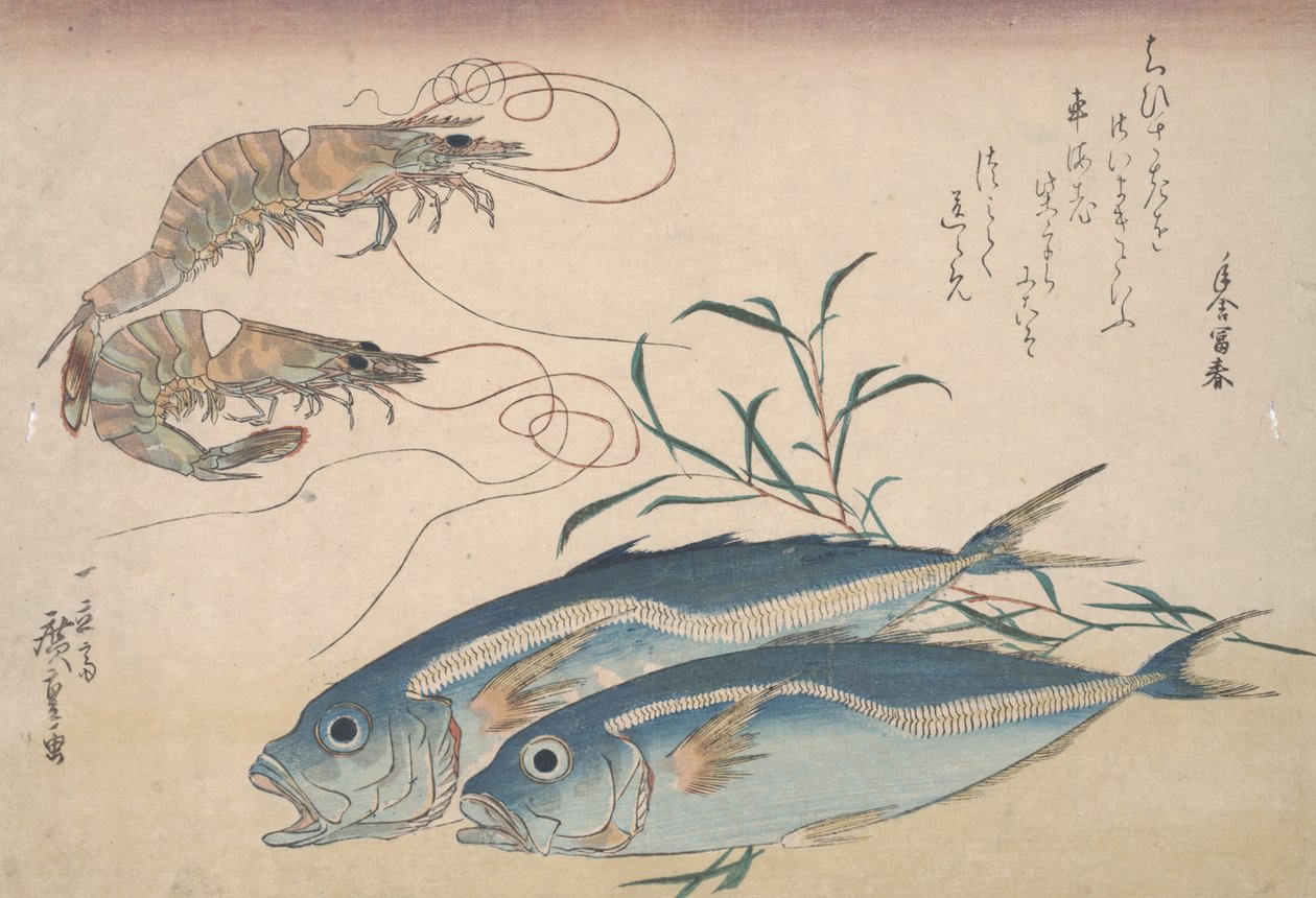 حصان الماكريل ، روبيان المياه العذبة ، والأعشاب البحرية ، c.1832 بواسطة Utagawa Hiroshige