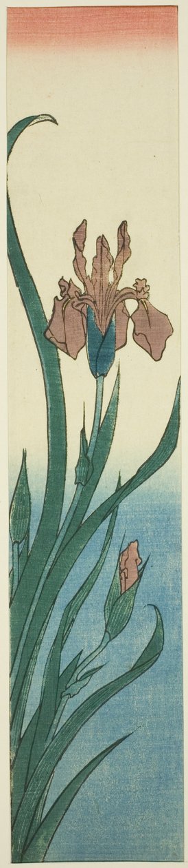 قزحية بواسطة Utagawa Hiroshige